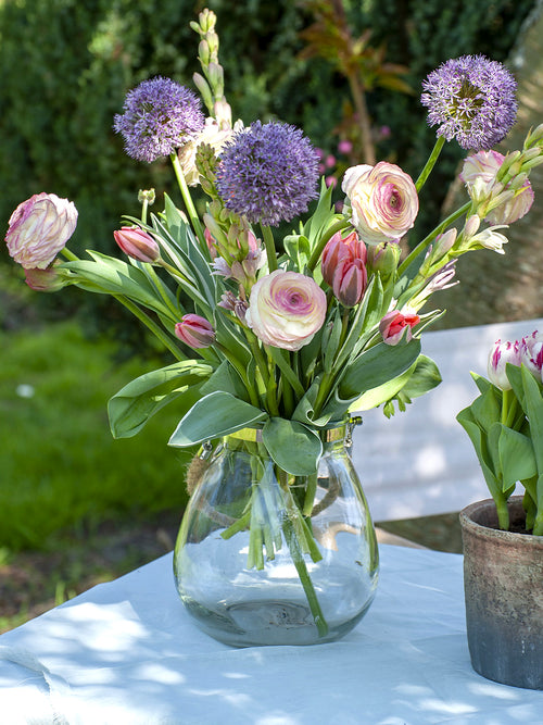 Blumenzwiebel Riesen-Zierlauch Allium 'Gladiator' Zwiebeln